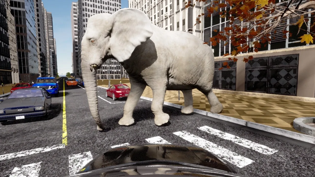 Animals generalization scenario