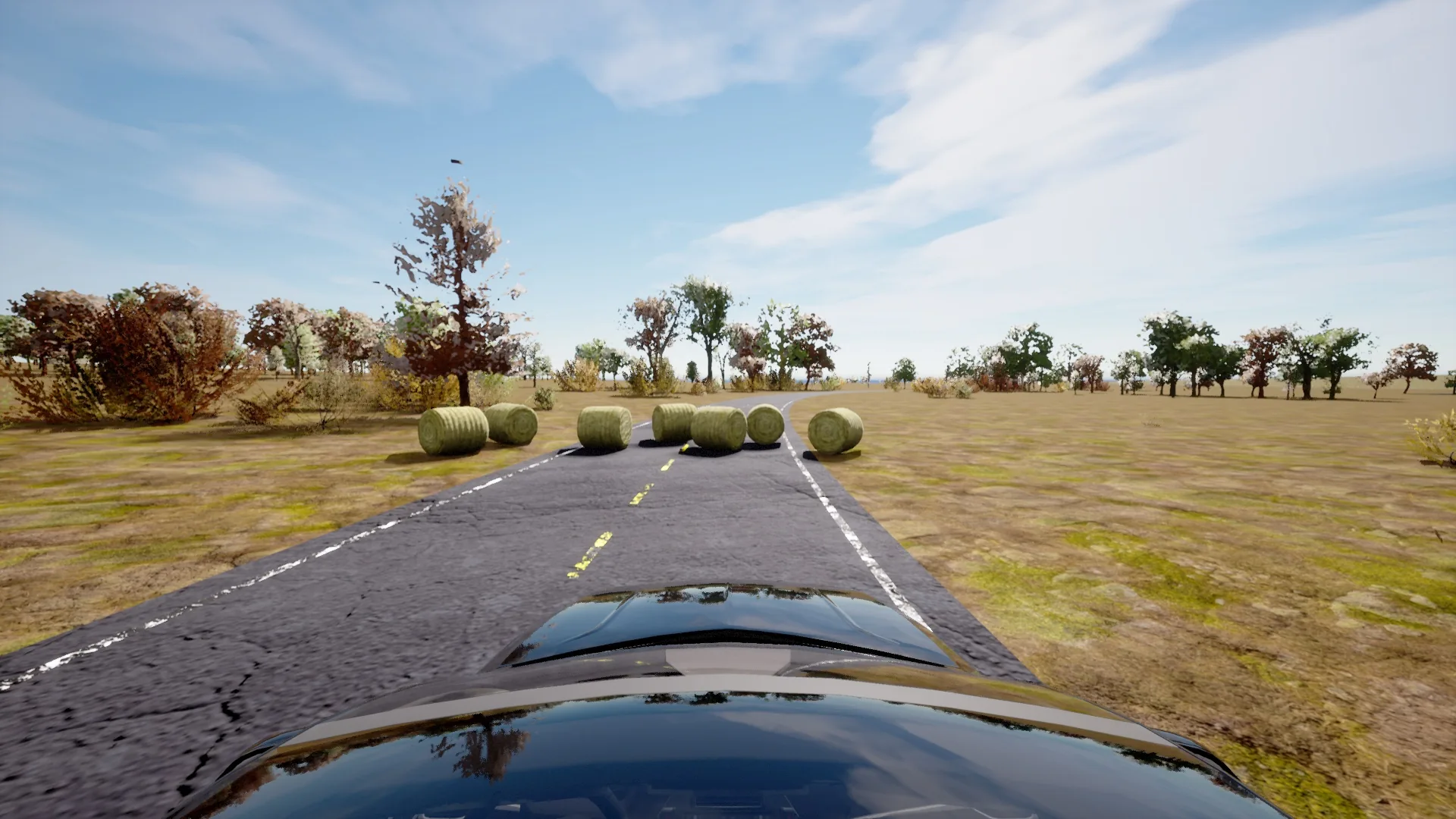 Hay bales scenario
